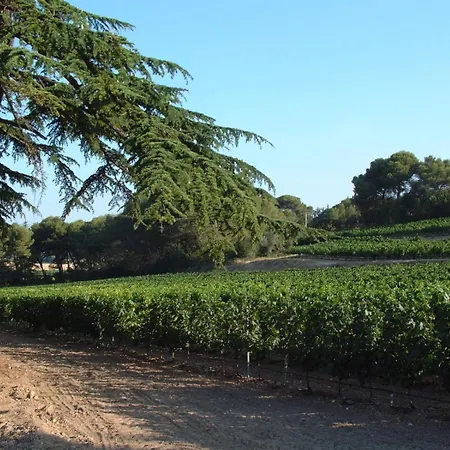 Chateau Saint Martin De Graves Penzion