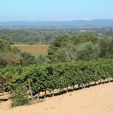 Chateau Saint Martin De Graves Penzion *