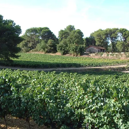Chateau Saint Martin De Graves Penzion Aumes