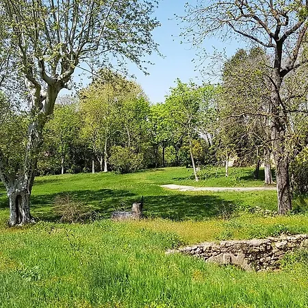 Chateau Saint Martin De Graves