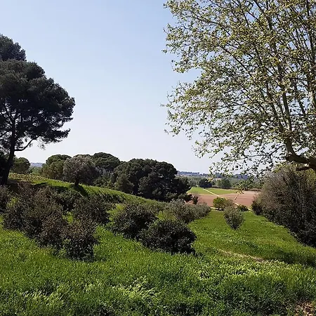 Chateau Saint Martin De Graves Aumes